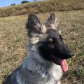 thumbnail_IMG_1119
