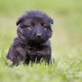 WG Photographies 2018-18