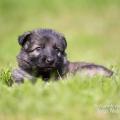 WG Photographies 2018-8