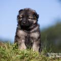 WG Photographies 2018-26