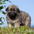 WG Photographies 2018-32