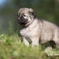 WG Photographies 2018-37