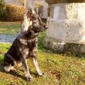 Nalla