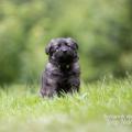 WG Photographies 2018-36
