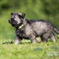 WG Photographies 2018-9