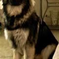 thumbnail_IMG_2229