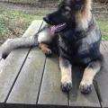 Roxy