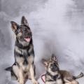 thumbnail_09112019-IMG_3079-1