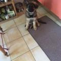 thumbnail_IMG_4523