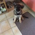 thumbnail_IMG_4524