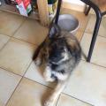thumbnail_IMG_4555