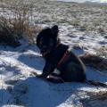 thumbnail_image2