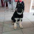 thumbnail_20190507_175452
