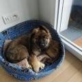 thumbnail_IMG_20190409_095802