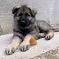 thumbnail_IMG_20190708_190422