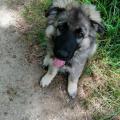 thumbnail_IMG_20190731_132608