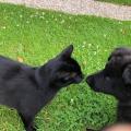 IMG-4252