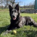NEYTI 1 an 03042021 (2) (Copie NXPowerLite)