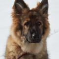IM2_0013 1