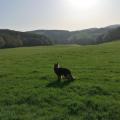IMG_20210331_181537