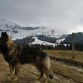 IMG_20210416_170515