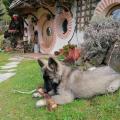 IMG_20210507_155008