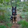 Skye