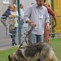 img_4119