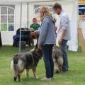 img_8721_edited-custom