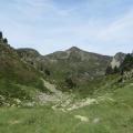 IMG_2366 (Custom)