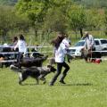 ne-as-mai-2014-090