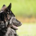 ne-boersch-2014-276