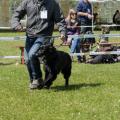 ne-boersch-2014-439