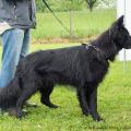 ne-boersch-2014-50