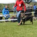 ne-boersch-2014-521
