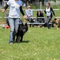 ne-boersch-2014-544