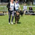 ne-boersch-2014-559
