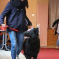 IMG_2197a