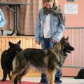 IMG_2294a