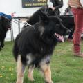 IMG_2358a