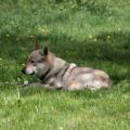 img_8412-custom