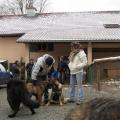 img_1843-custom