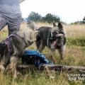 GW Photo 2018-57