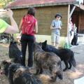 IMG_5372(2)
