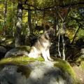 Norka