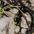 IMG_20190901_143847