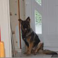 DSC_0045[2]