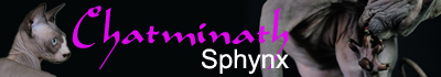 Chatminath - Elevage de Sphynx Chatminath - Elevage de Sphynx